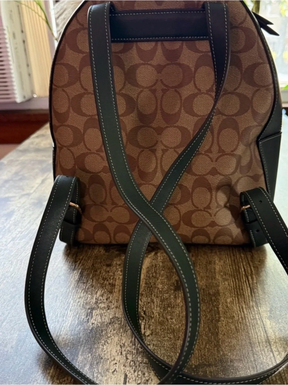 Coach Brown Logo Signature Mini Backpack with Dark Green Trim